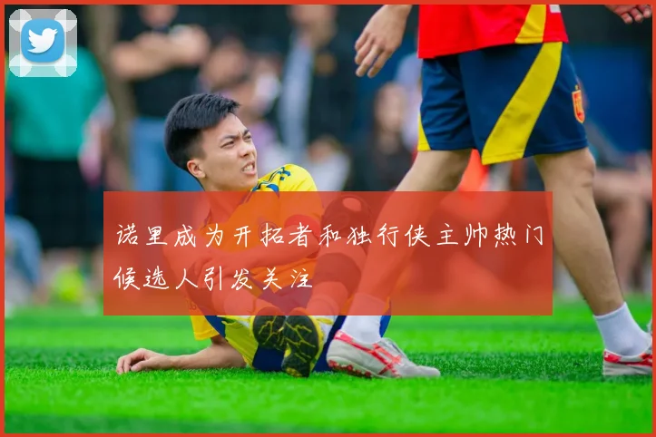 诺里成为开拓者和独行侠主帅热门候选人引发关注